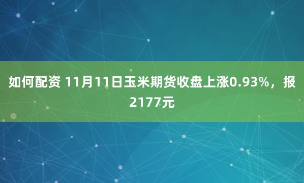 如何配资 11月11日玉米期货收盘上涨0.93%，报2177元